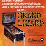 Flipper Grand Lizard - affiche