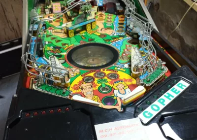 Flipper Gottlieb Tee'd Off 1993 - avant - vue de face