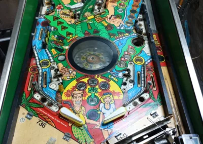 Flipper Gottlieb Tee'd Off 1993 - vue de face