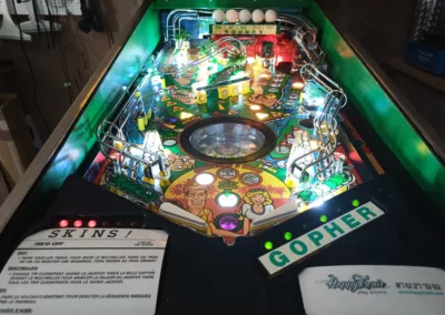 Flipper Gottlieb Tee'd Off 1993 - vue de face proche