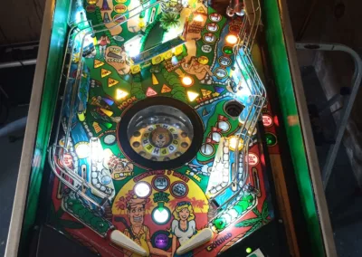 Flipper Gottlieb Tee'd Off 1993 - vue de face éloignée