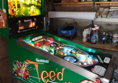 Flipper Gottlieb Tee'd Off 1993 - vue de côté