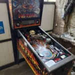 Flipper Williams No Fear Dangerous sport 1991 - vue de coté-