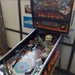 Flipper Williams No Fear Dangerous sport 1991 - vue de coté-