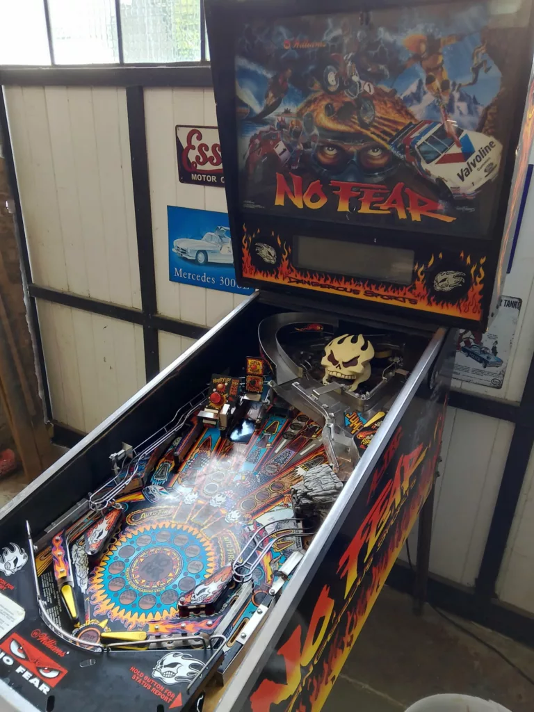 Flipper Williams No Fear Dangerous sport 1991 - vue de coté-